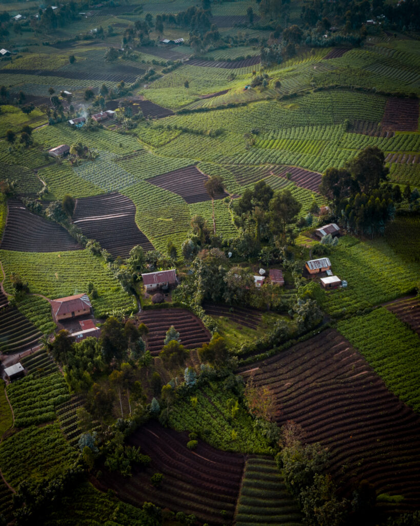 DRC, Rwanda & Burundi VI - 7