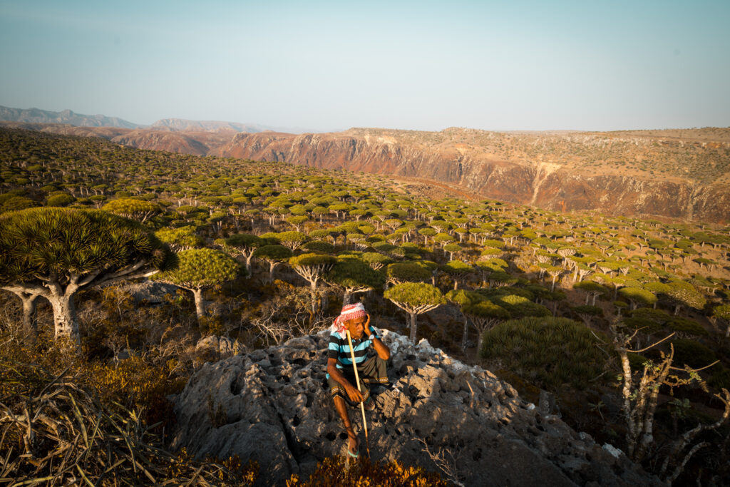 Socotra V