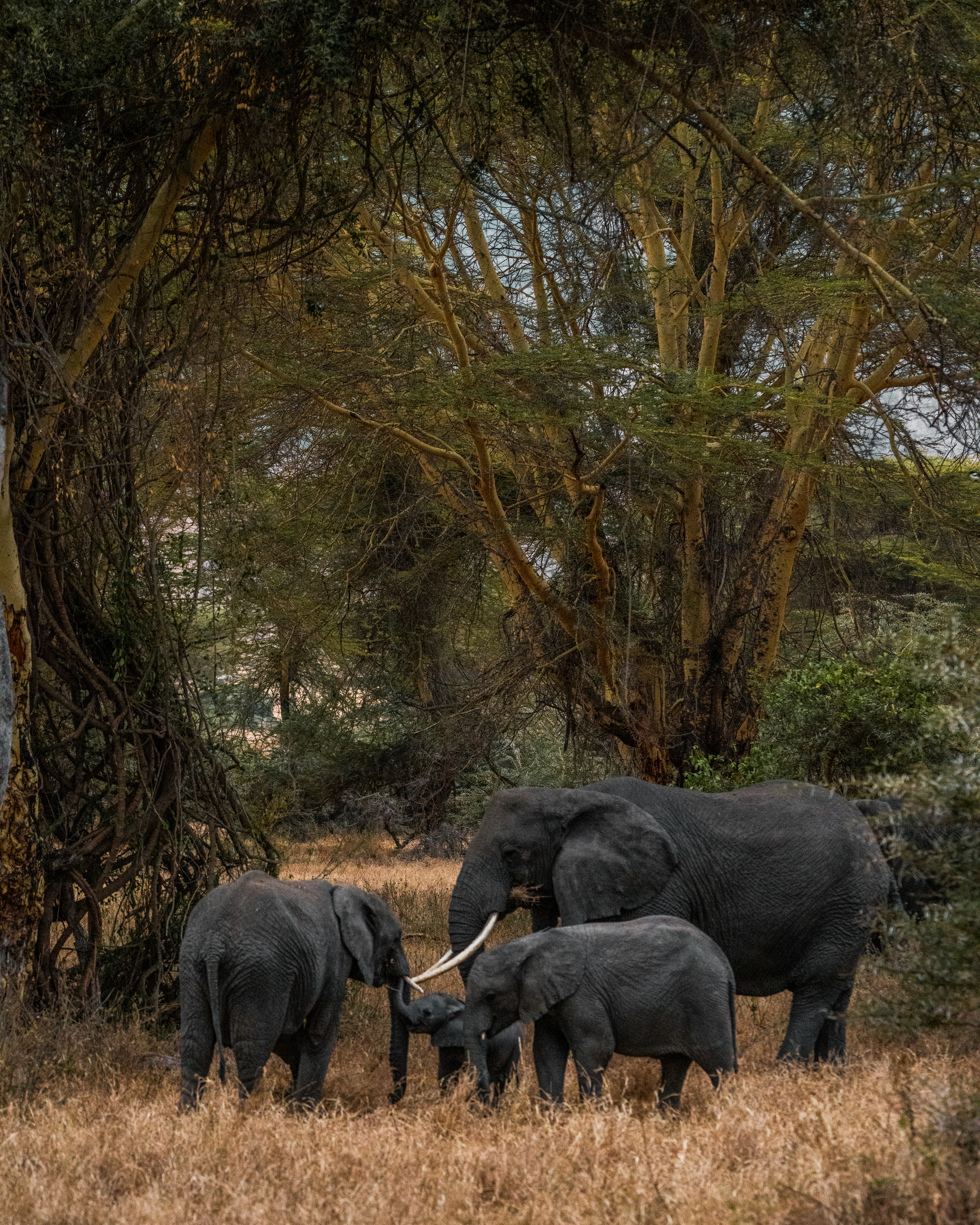 Uganda - 4