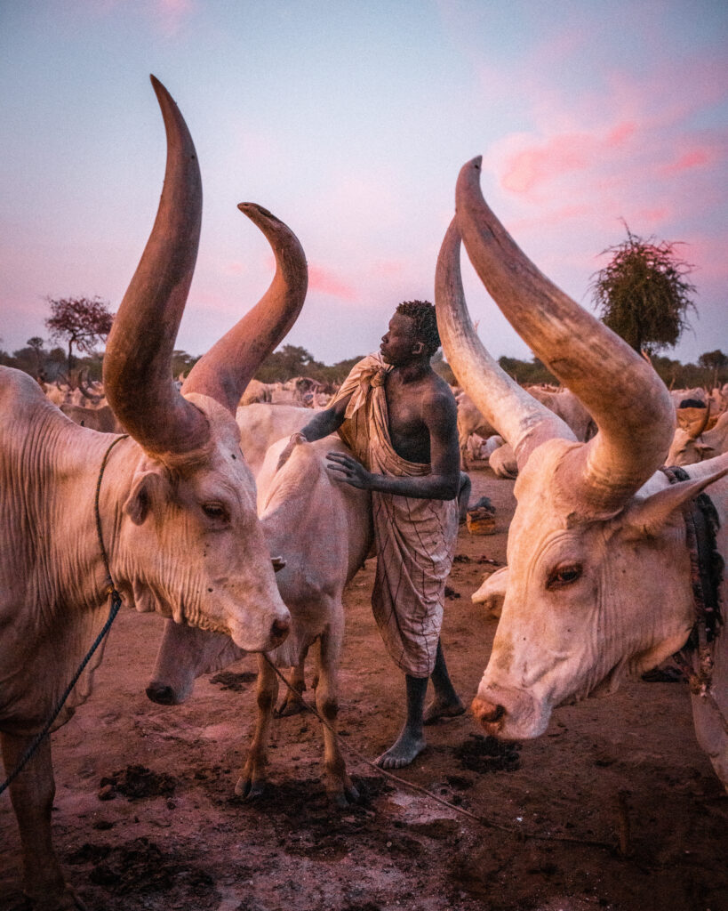 South Sudan III