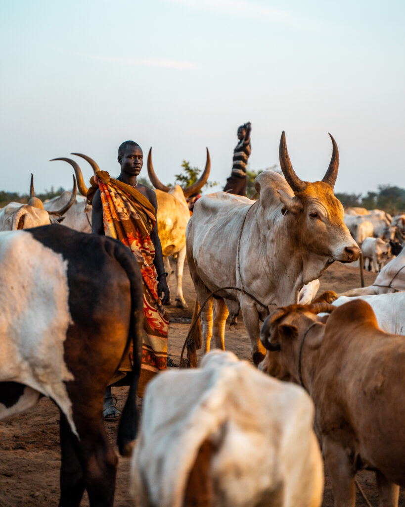 South Sudan III - 2