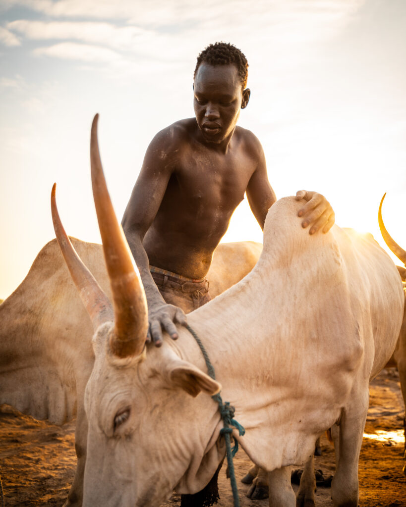 South Sudan III - 6