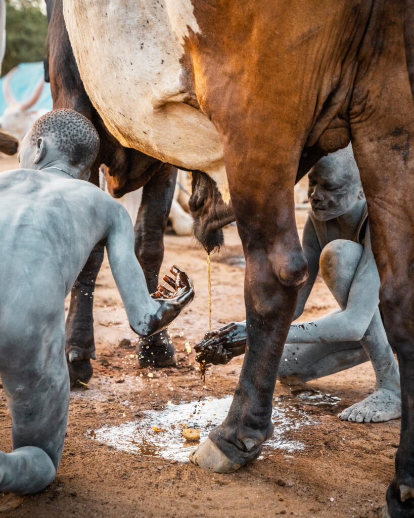 South Sudan III - 7