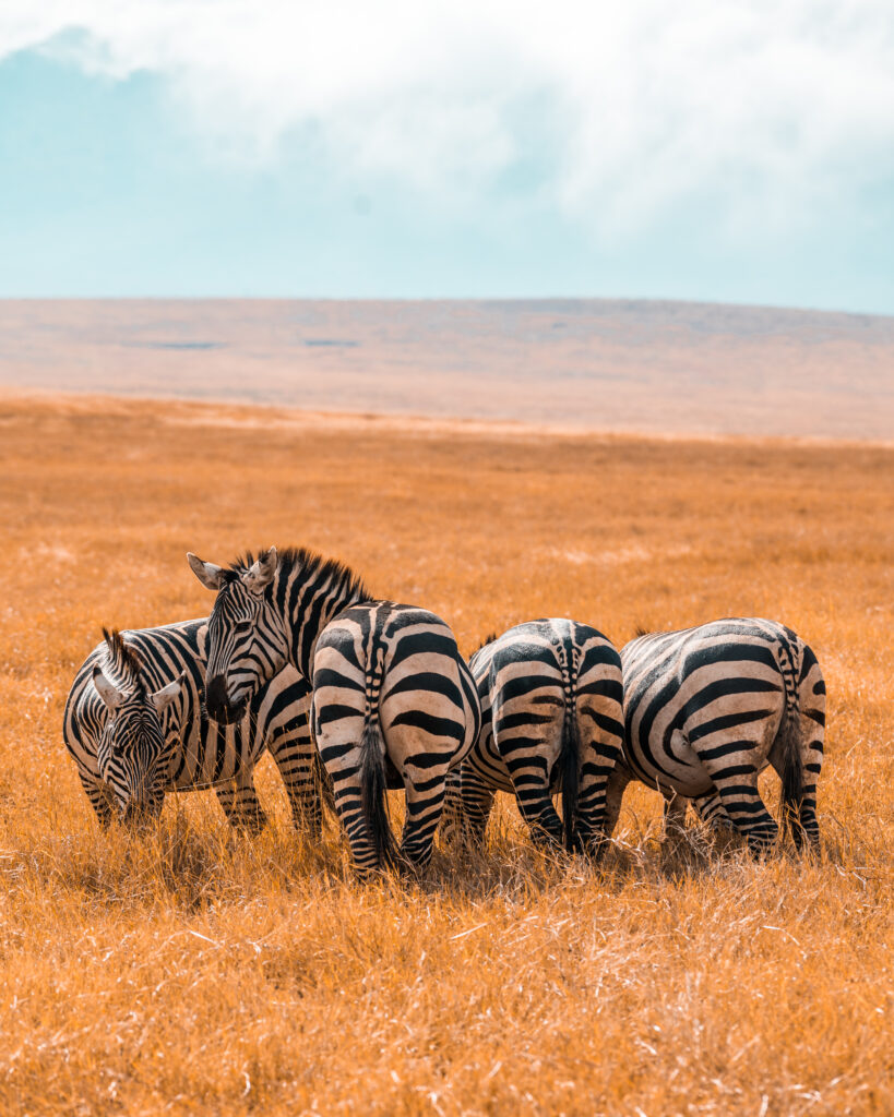 Kenya - 1