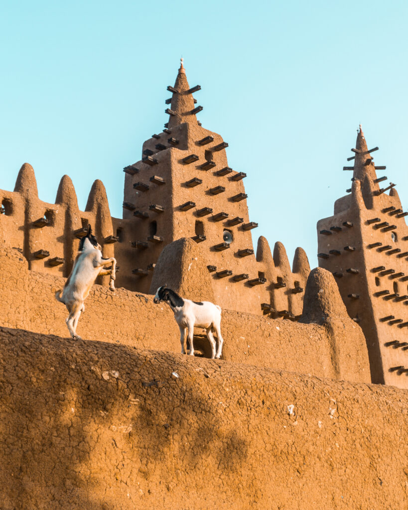 Mali & Burkina III - 6