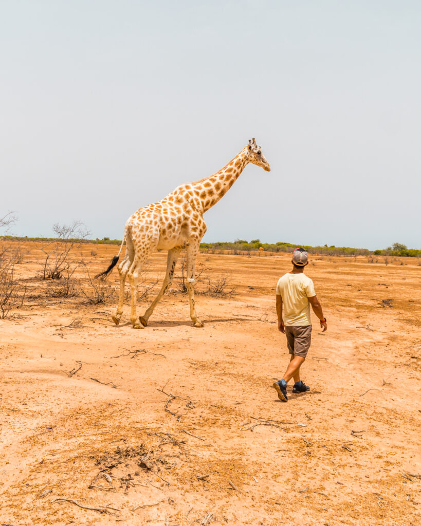 Niger & Nigeria - 2