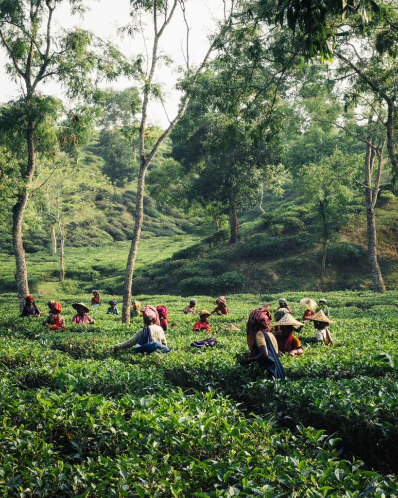 Bangladesh - 5