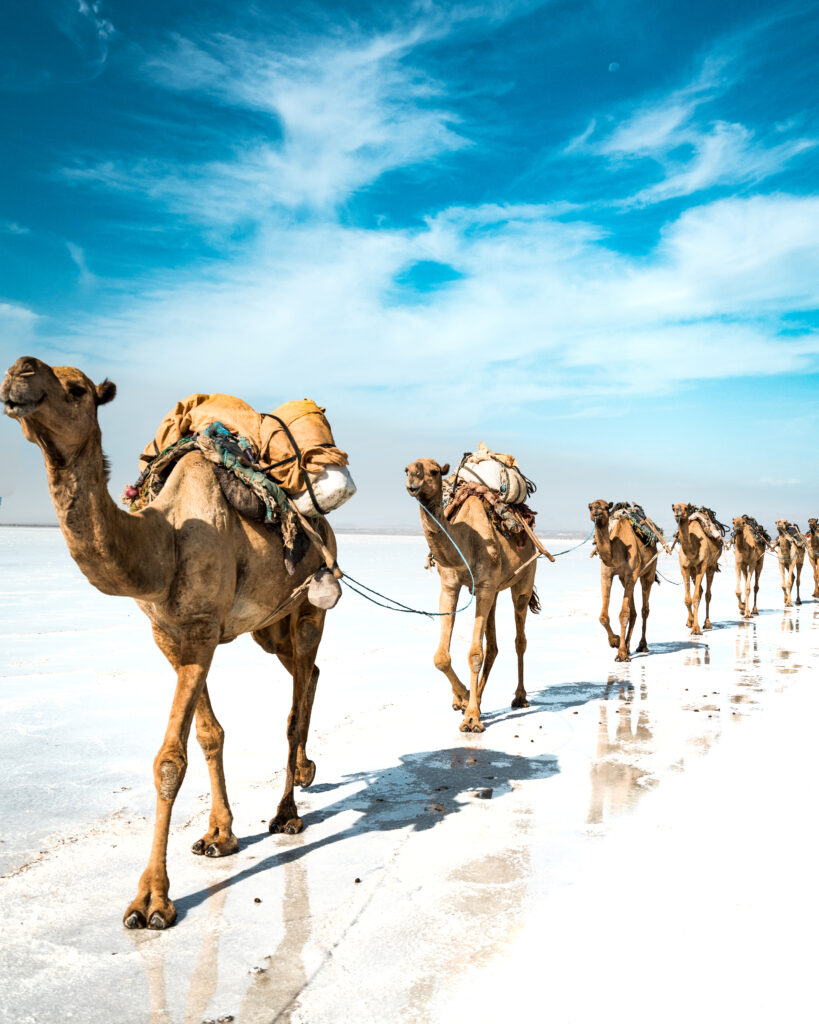 Eritrea & Djibouti I - 1