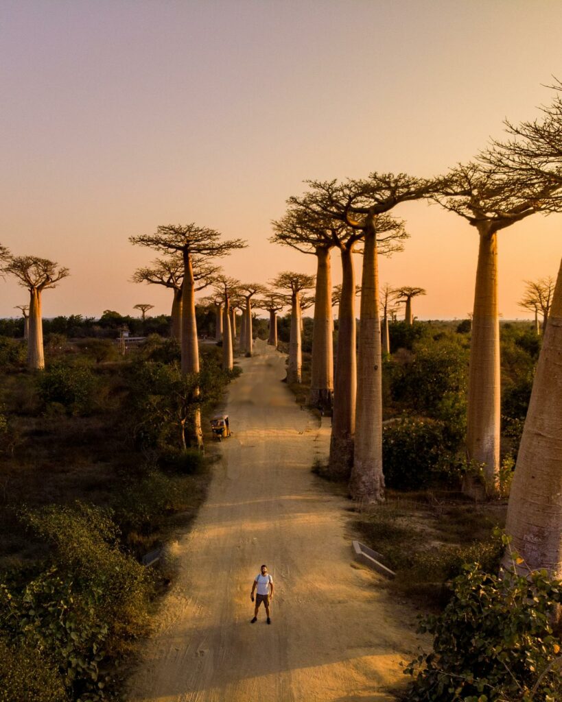 Madagascar I - 7