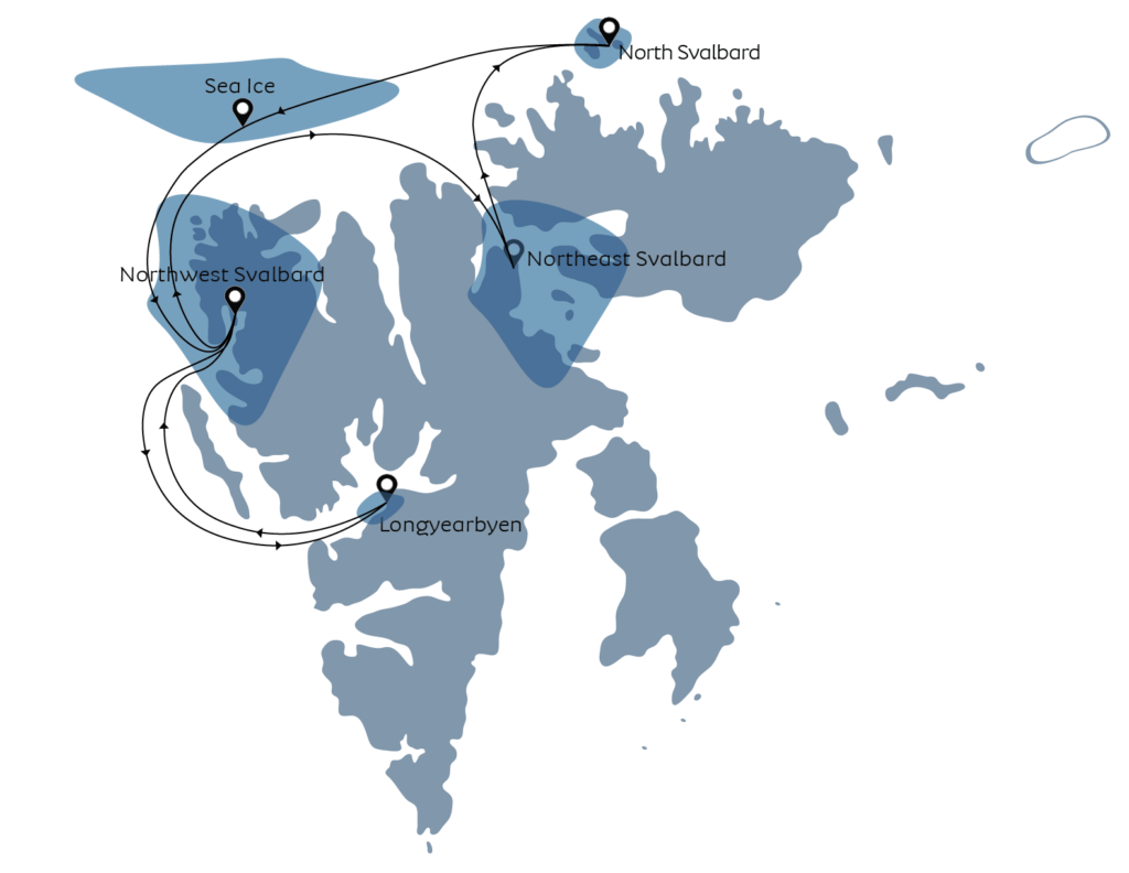 Svalbard - 3