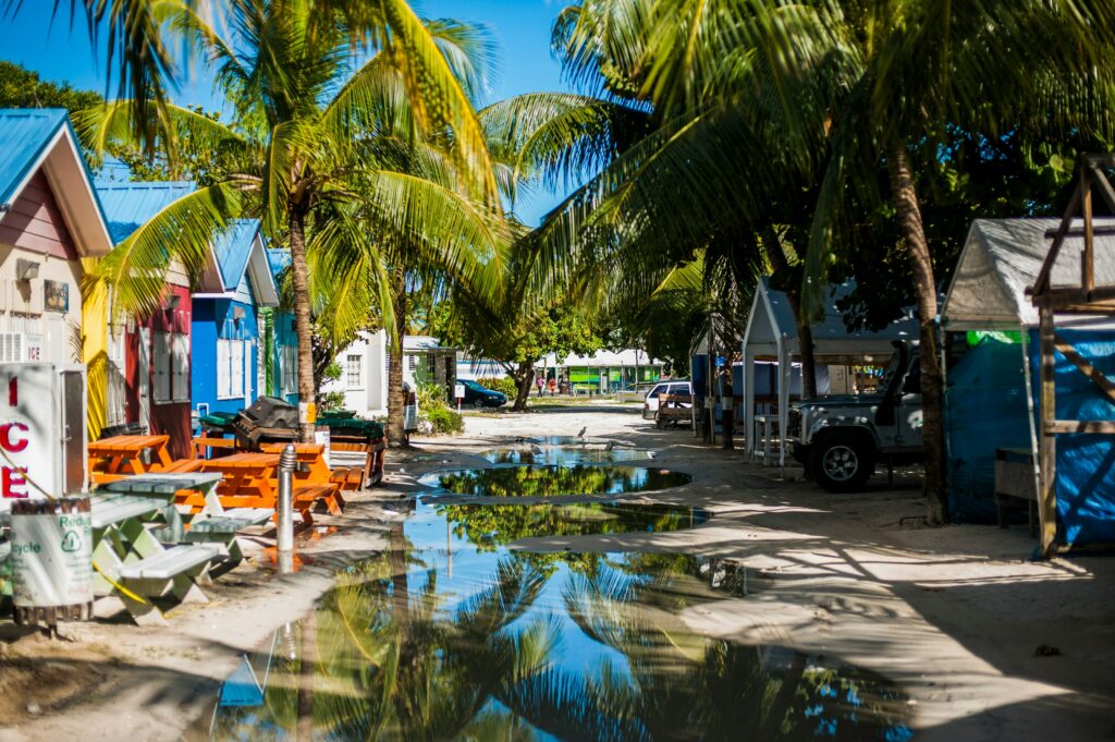 The Caribbean II - 5