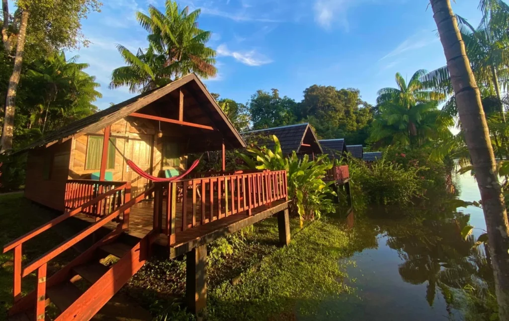 Guianas III - 5