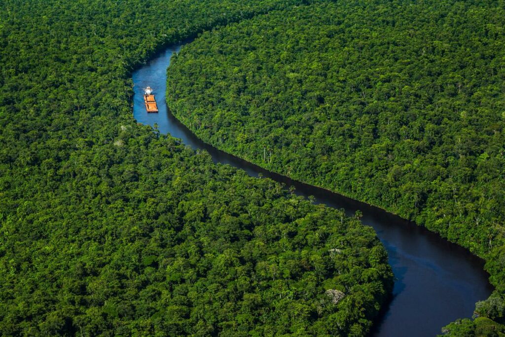 Guianas III - 2