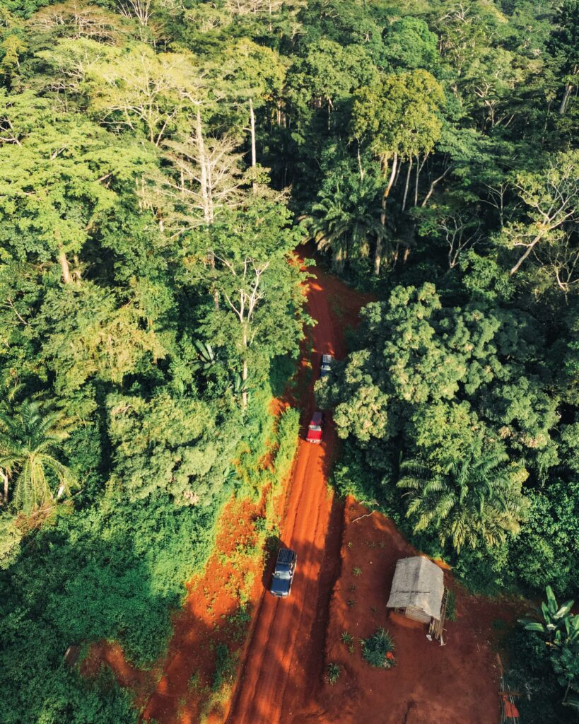 Central Africa II - 7