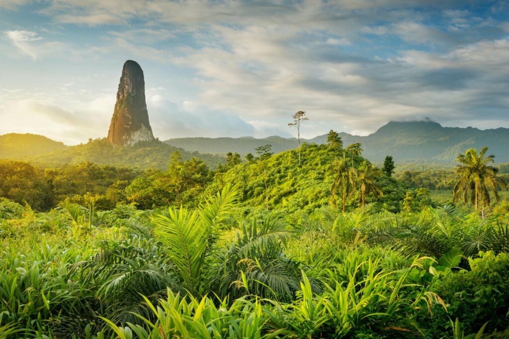 Central Africa II - 2